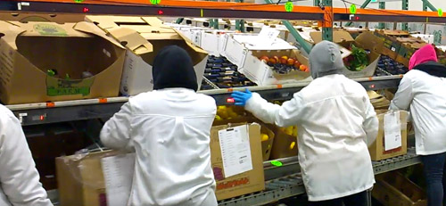 Pick-to-Light Solutions Technology - FastFetch